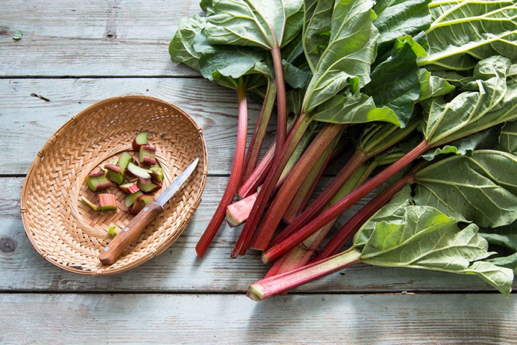 Rhubarb leaves