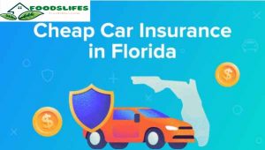 Cheapest Car Insurance in Florida in 2022