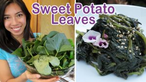 Sweet Potato Leaves Recipes